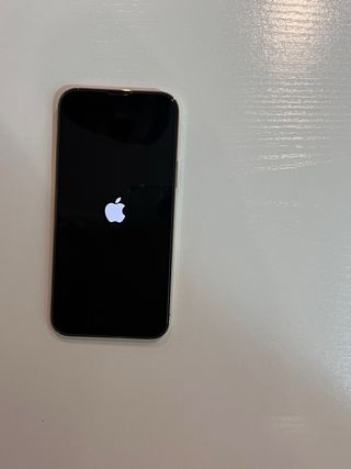 iPhone 13 Pro Max Oro