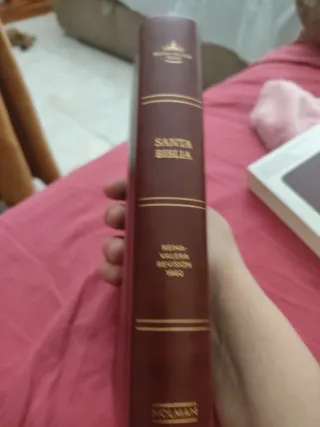 Biblia RVR 1960 Compacta Marrón Símil Piel