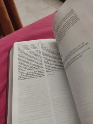 Biblia RVR 1960 Compacta Marrón Símil Piel
