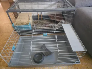 Jaula grande para cobaya o conejo