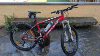 Pareja Cannondale Trail SL 3 Tallas S y L