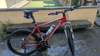 Pareja Cannondale Trail SL 3 Tallas S y L
