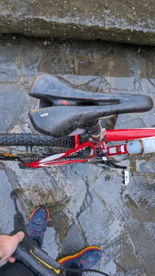 Pareja Cannondale Trail SL 3 Tallas S y L