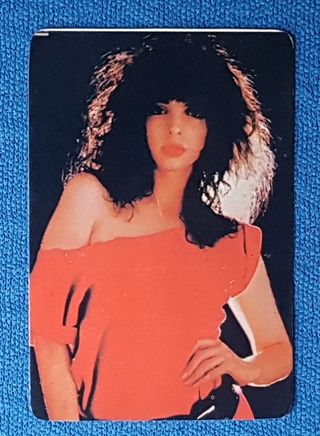 Calendário de bolso Helen Schneider