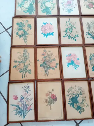 Vintage Stampe Botaniche Floreali