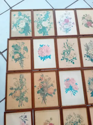 Vintage Stampe Botaniche Floreali