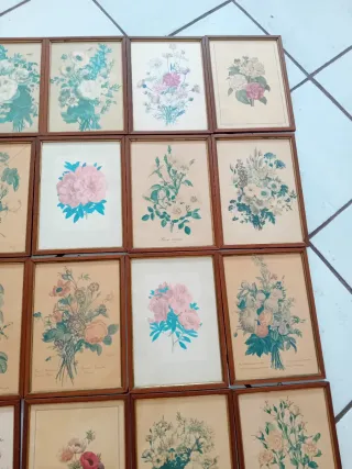 Vintage Stampe Botaniche Floreali