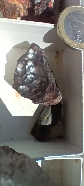 Collezione di Minerali Vari