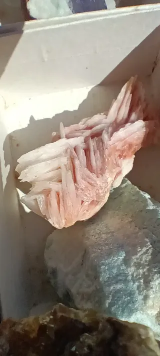 Collezione di Minerali Vari