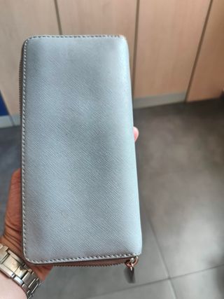 Portafoglio Michael Kors Azzurro