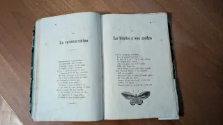 Libro antico Poesie educative 1871