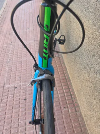 Giant TCR Advanced Pro 1 talla L