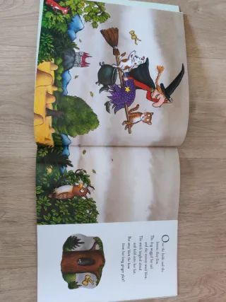 Lote libros inglés
