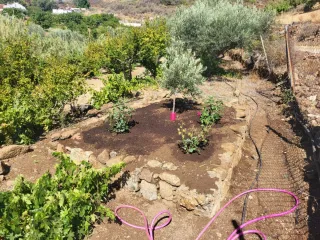 Jardinero profesional