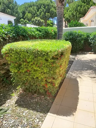 Jardinero profesional