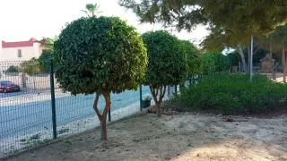 Jardinero profesional