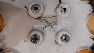 1 Tapacubos Peugeot 206. 14" Usado pero ok