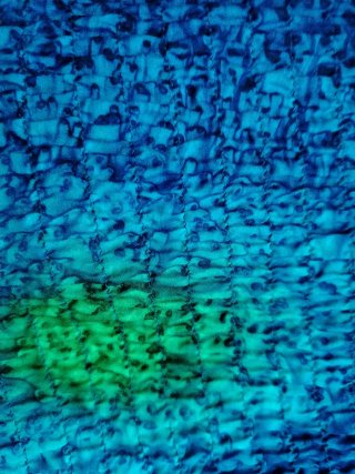 Completo estivo 3 pezzi