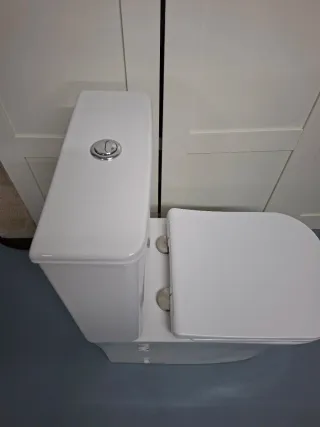 Inodoro blanco carga inferior