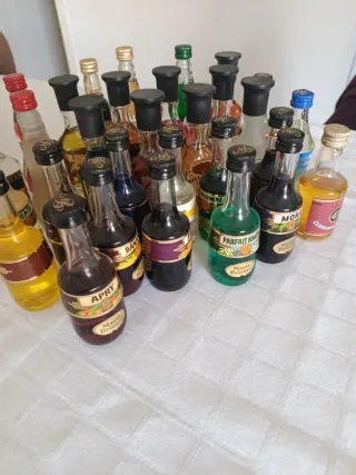 Collezione di Bottiglie Miniatura