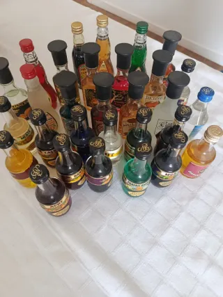 Collezione di Bottiglie Miniatura