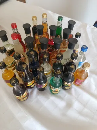 Collezione di Bottiglie Miniatura