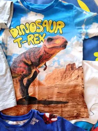 Lote 6 camisetas niño T-Rex, Spiderman, Irlanda