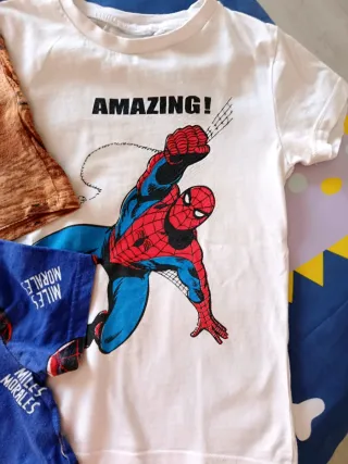 Lote 6 camisetas niño T-Rex, Spiderman, Irlanda