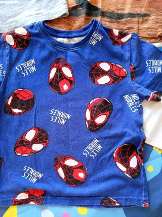 Lote 6 camisetas niño T-Rex, Spiderman, Irlanda