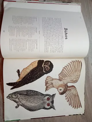 Libro de animales
