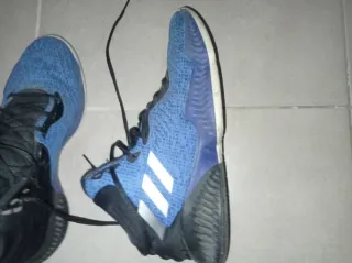 Zapatillas Baloncesto Adidas Pro Bounce