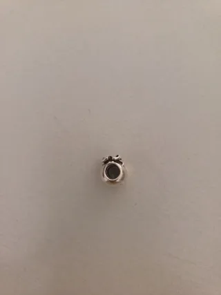 Pandora Charm Bolsa Dinero Original