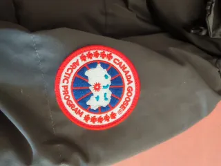 Canada Goose Chaquetón Gris Hombre