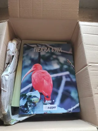 Libro