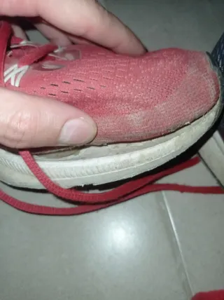 Zapatillas Nike Air Pegasus 33 Rojas