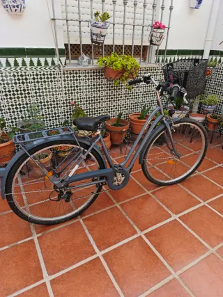 Bicicleta mujer BWTIN con cesta