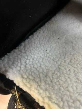 Transportín extensible para animales pequeños