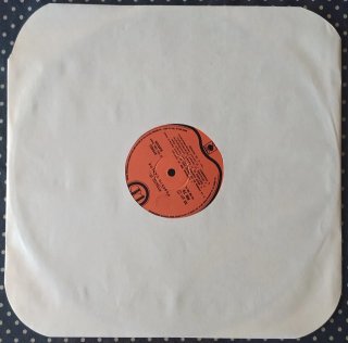 Vinile Roberto Carlos Ritratto di... 1976