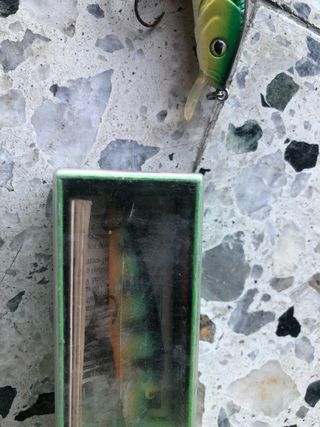 Señuelos de pesca