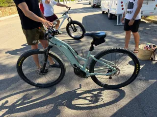 Bicicleta Eléctrica Ebike Liv mujer