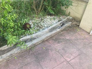 Regalo Traviesas de madera