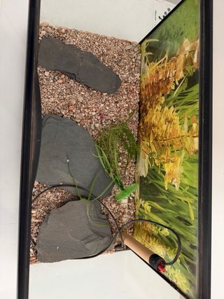 Pecera / Terrario con accesorios