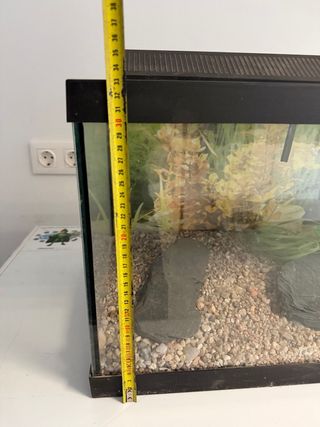 Pecera / Terrario con accesorios