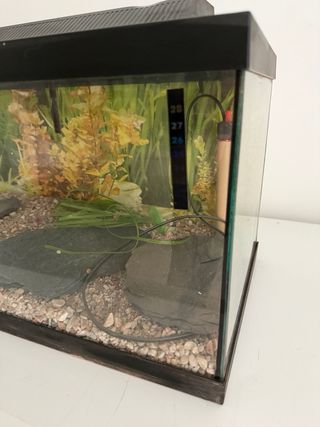 Pecera / Terrario con accesorios