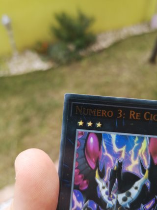 Numero 3: Re Cicala BLAR-IT028