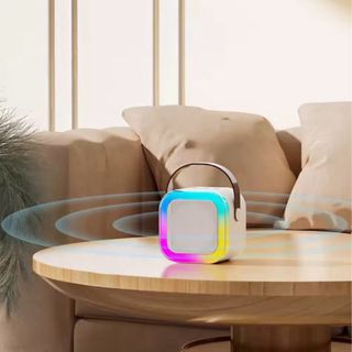 Altavoz Bluetooth Profesional Canto Karaoke