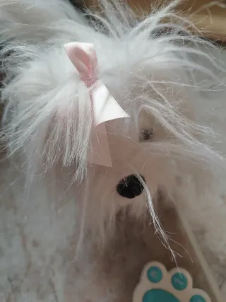 Perro Mi Mascota Susú Juguettos