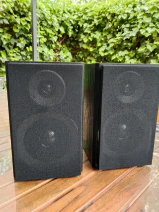 Altavoces 15W Negros