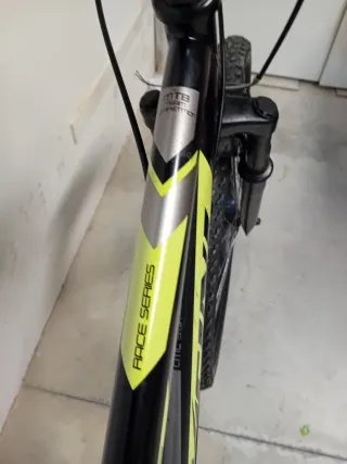 Mountain bike taglia 26