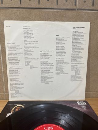 LP VINILO MICHAEL BOLTON “ THE HUNGER “